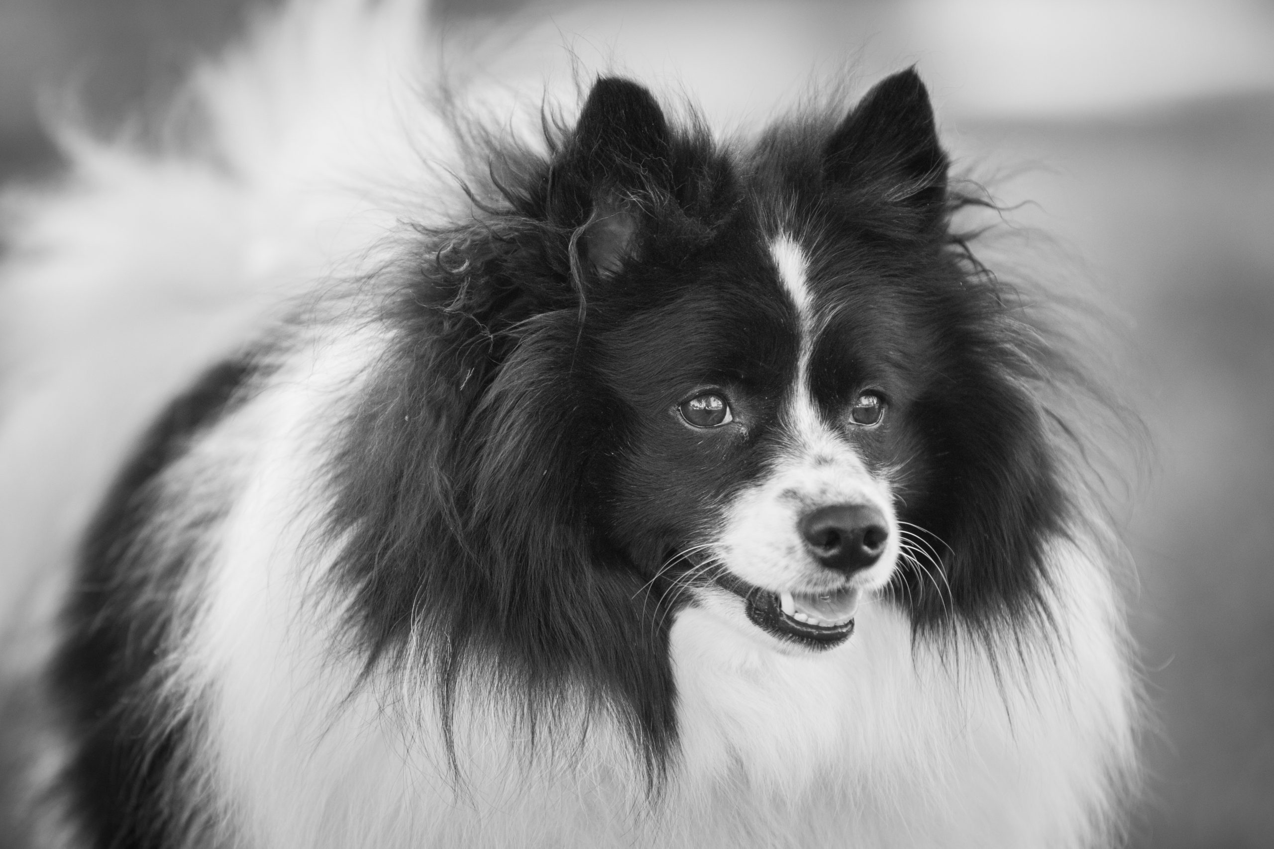 Trevor and Eddie in Richmond